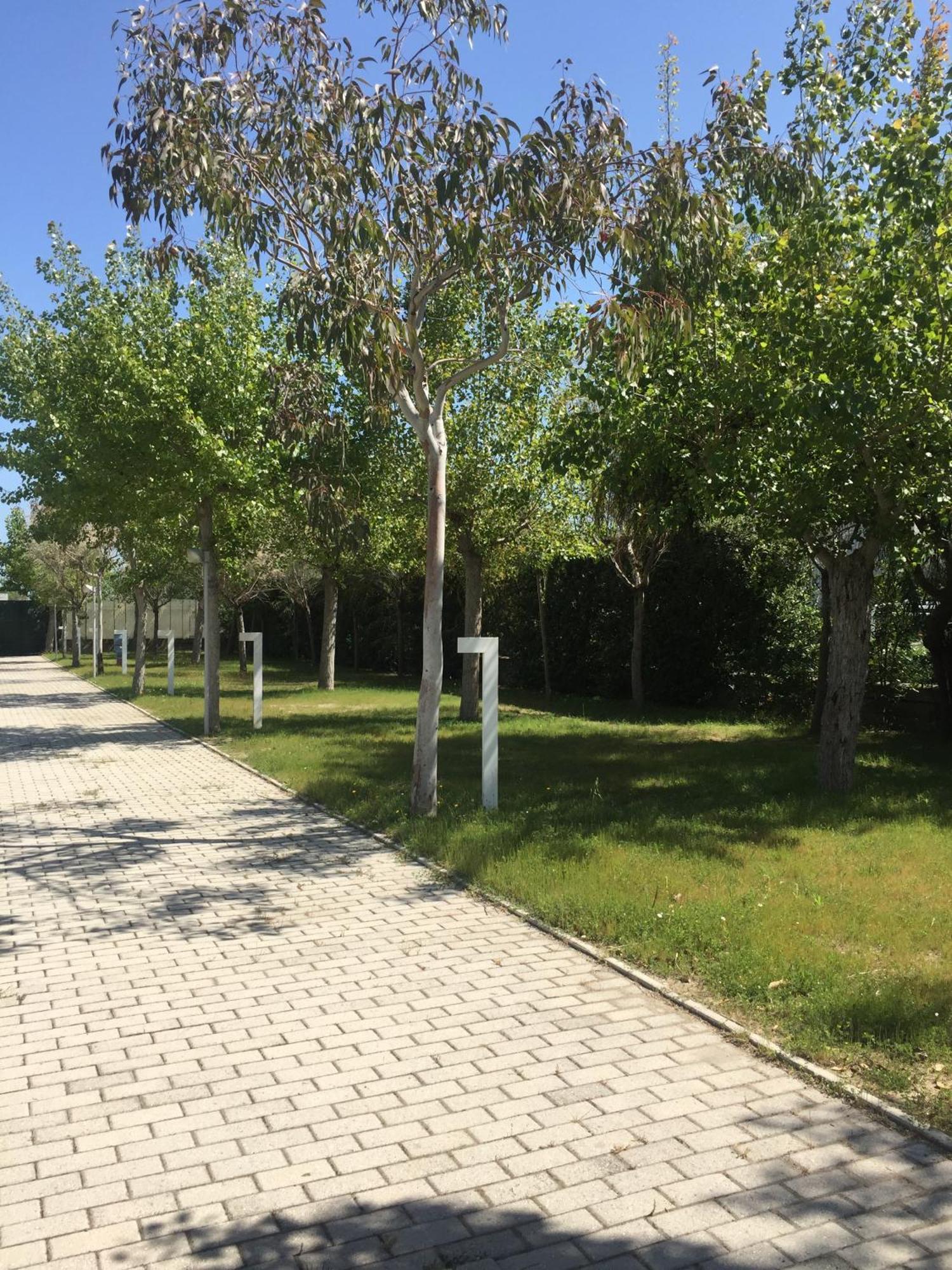 Camping & Residence Il Pioppeto Vasto Extérieur photo